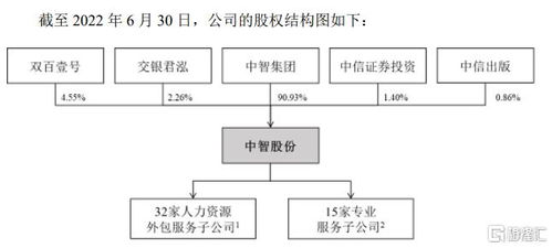 中智股份終止IPO背后的戰(zhàn)略抉擇 三年分紅35億，聚焦人力資源與公共資源交易技術(shù)服務(wù)
